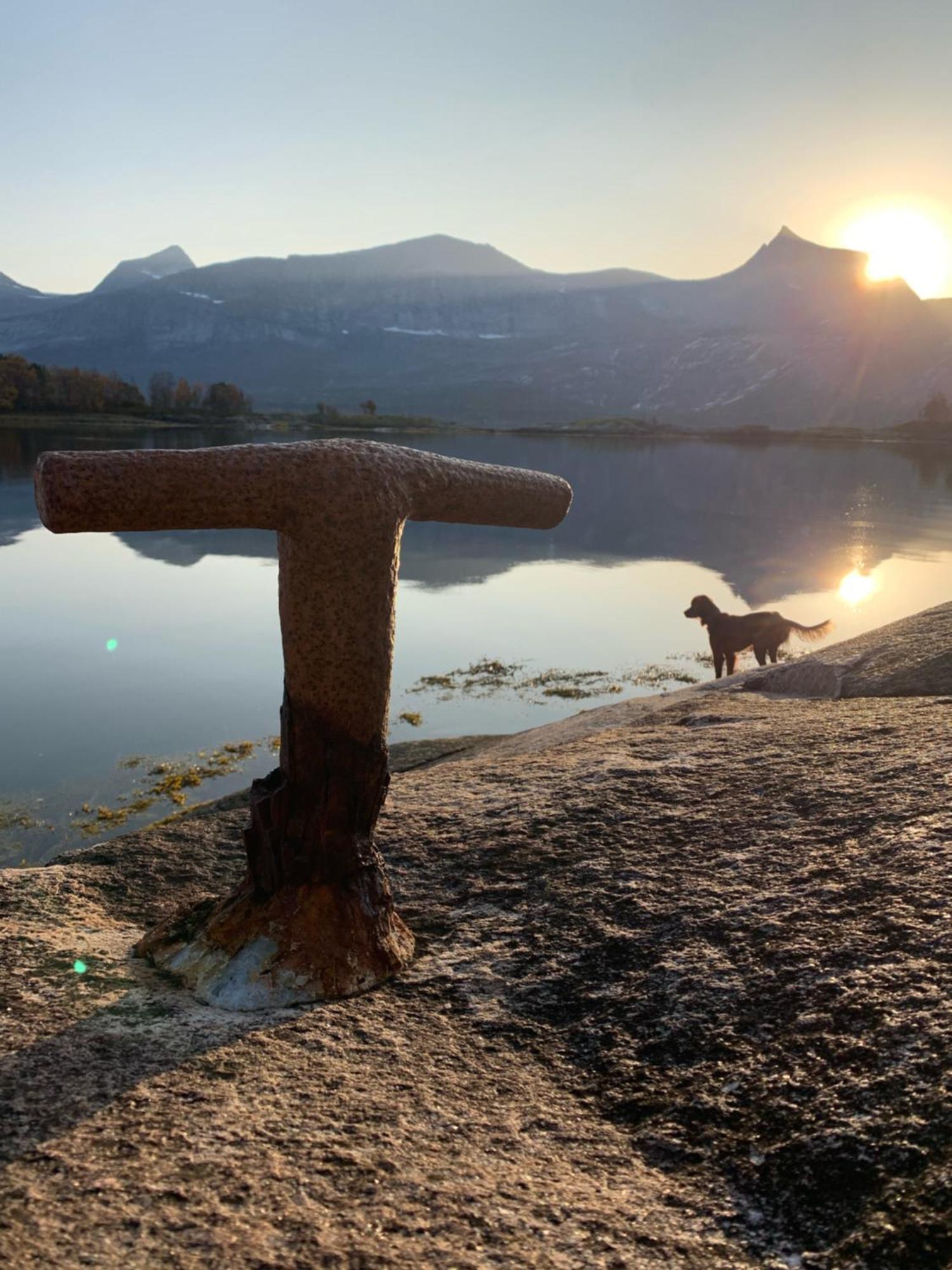 Unique holdiay home in spectacular Efjord Ballangen Extérieur photo