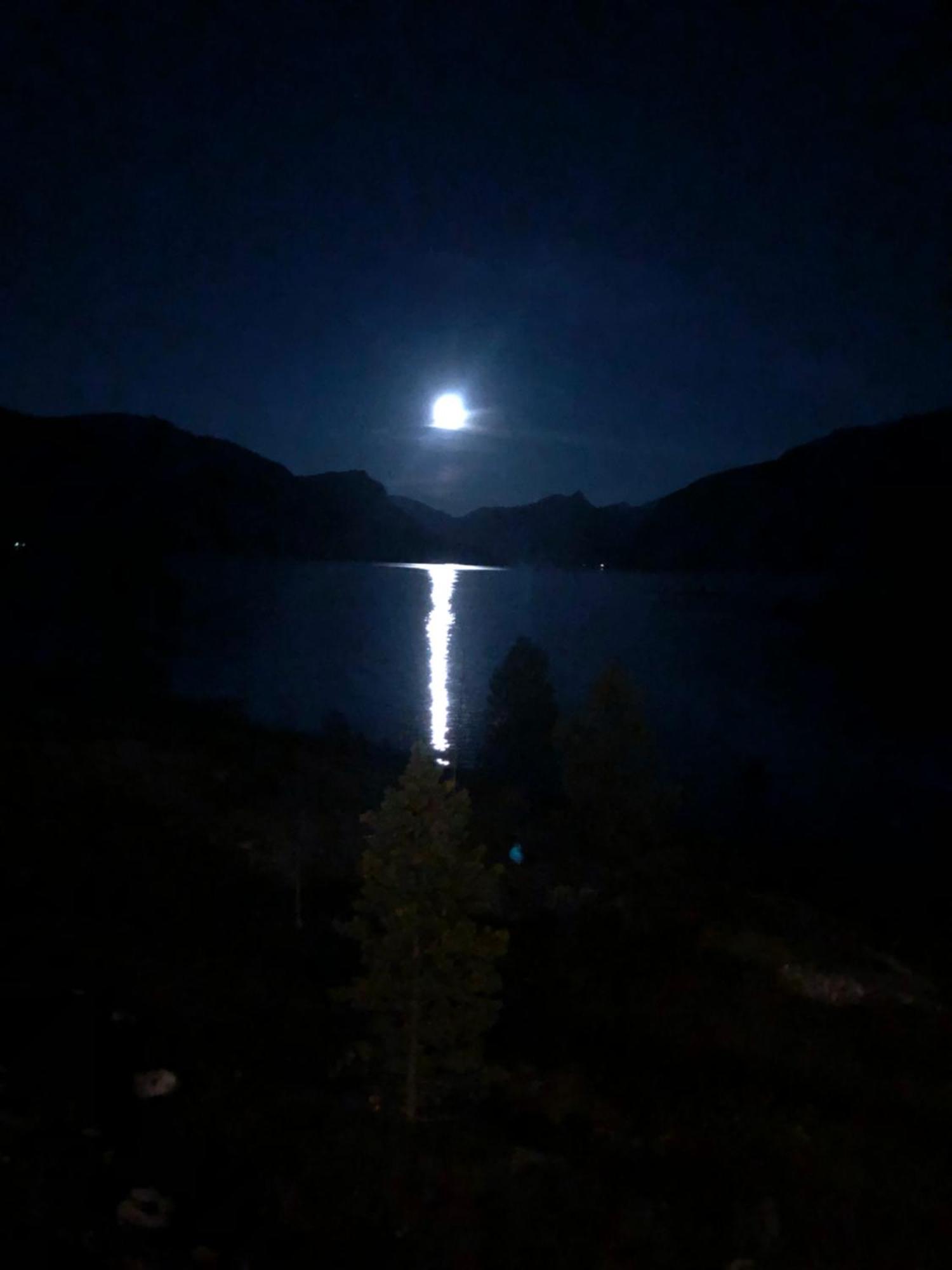 Unique holdiay home in spectacular Efjord Ballangen Extérieur photo