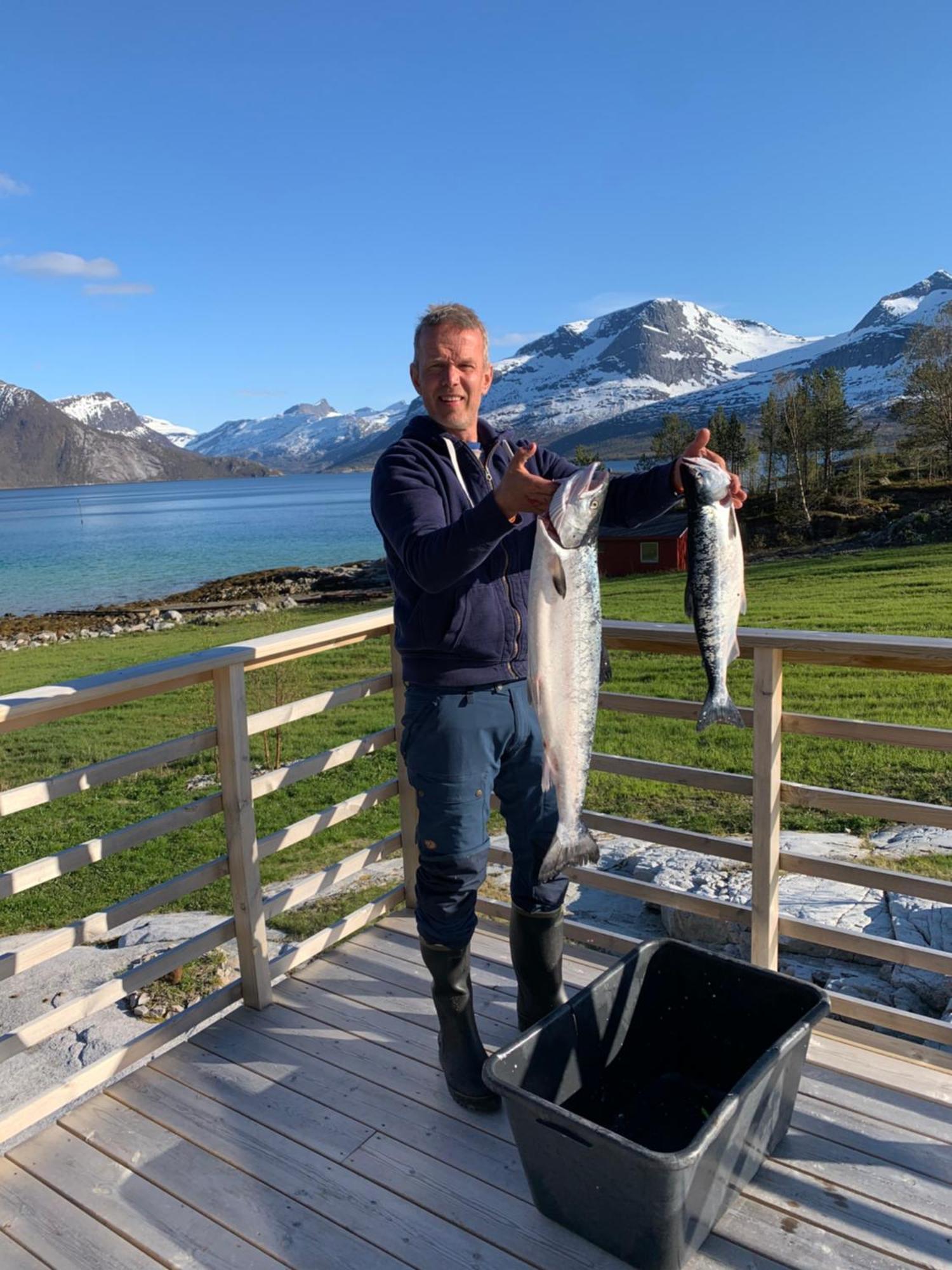 Unique holdiay home in spectacular Efjord Ballangen Extérieur photo